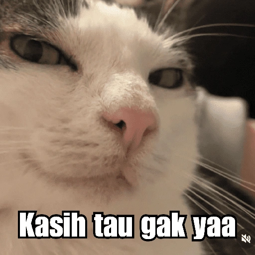 Kasih tau gak yaa R (cmkyph26t4)