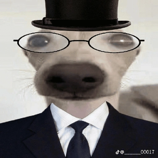 سيد أنيق (j5s8vbgz9w)