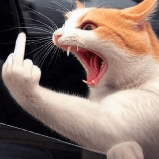 قطط مضحكة: ماتور سوون 🐱 (2q3mcw7nrf)