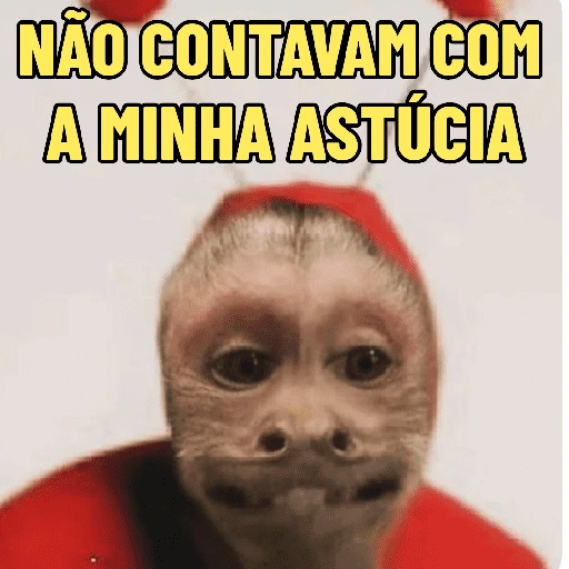 NÃO CONTAVAM COM A MINHA ASTÚCIA (5sr48qnf37)