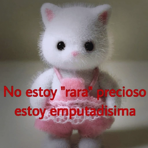 No estoy "rara precioso estoy emputadisima (s4h3drjf6x)