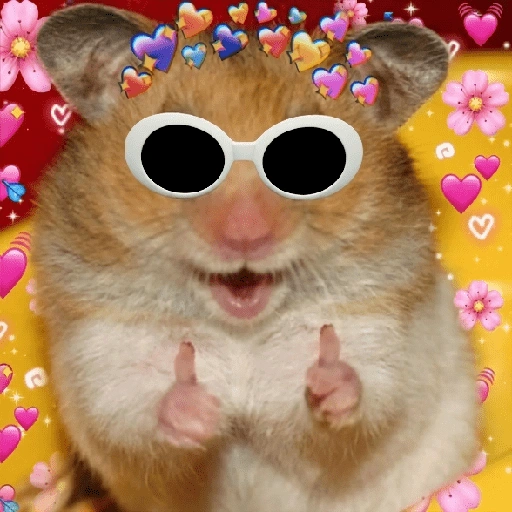 همستر كول بالقلوب (7vrtkg29bq)