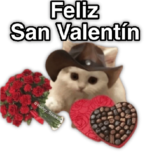 Feliz San Valentín (dynr9xzpwj)