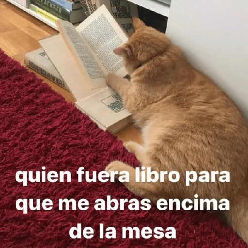 ATHRER EUCH MARIA PENASCLE quien fuera libro para que me (6hj3vd4fc8)
