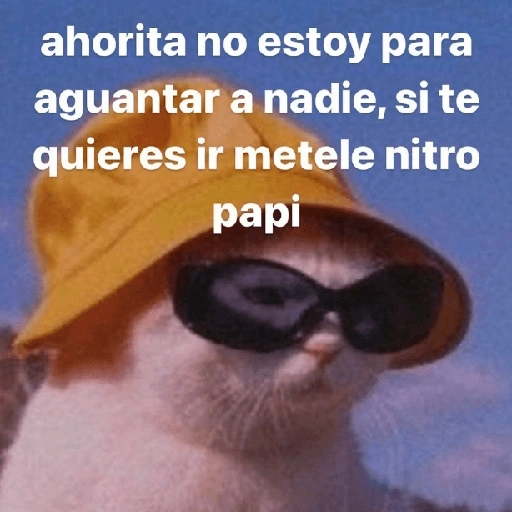 ahorita no estoy para aguantar a nadie, si te quieres ir (349t8xdgz7)