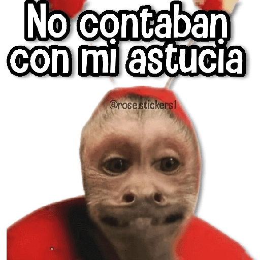 Memes Random3ღ💫 (d3rb8jftq6)
