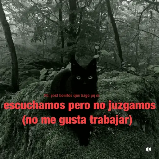 Fb: post bonitos que hago pq si rescuchamos pero no juzgamos (zsg8wkr7m5)