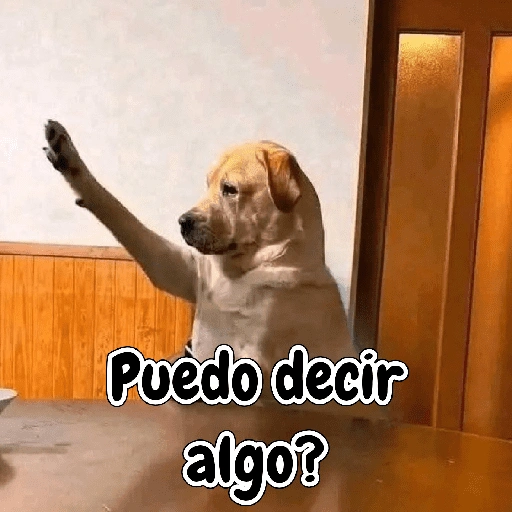 Puedo decir algo? (kyrz4twmn7)