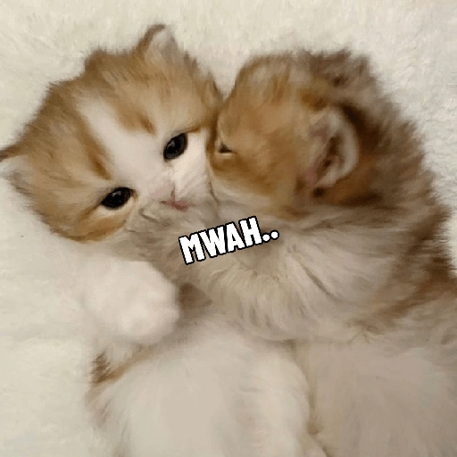 MWAH.. (gvrxd3p4sy)