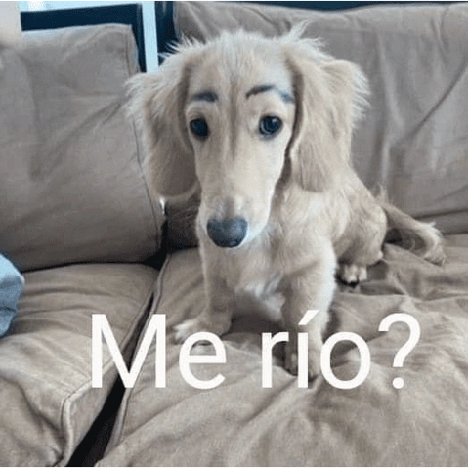 أأضحك؟ (jkrgqmb42t)