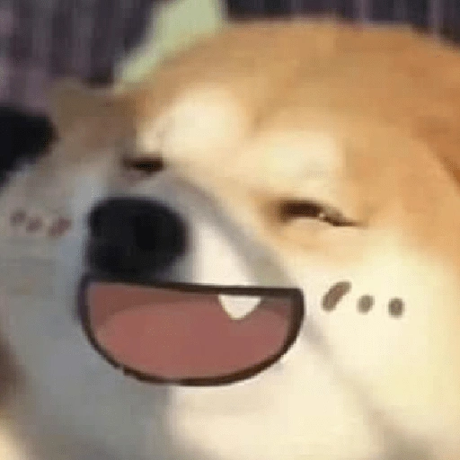 " (275sgyf4bh)