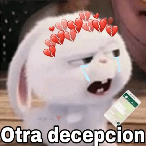 Gaysi Oy Otra decepcion (25s3hjzgft)