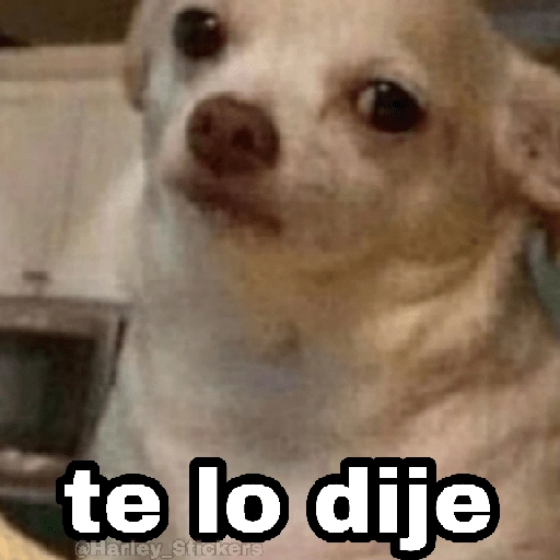 Memes pa' hablar XD 2 (s3zdmgqcpr)