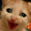 🐱💔😢 قطط حزينة 😢💔🐱 (ts57hndxqb)
