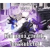 Meme hsr (c25tphfx7v)