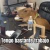 Te amo, estoy ocupadito 😢 (t6vbm5dfwx)