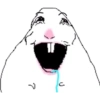 الهامستر الميم 🐹 (n698kbpz3y)