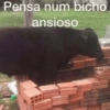 Shitpost do twitter (5nf7x92btw)