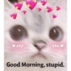 Good morning / pagi (p9ynhk6wx5)