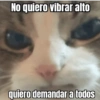 🐾🐱🐈 Gatitos :v 🐈🐱🐾 (vxcw6gq4b2)