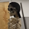 Memes de esqueletos ☠️💀🩻 (vg54s26t7y)