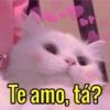 I Love You, OK?