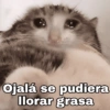 🐾🐱🐈 Gatitos :v 🐈🐱🐾 (gd4nwh3k9q)