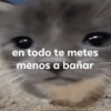 🐾🐱🐈 Gatitos :v 🐈🐱🐾 (s6f9ynvw8c)