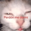 🐾🐱🐈 Gatitos :v 🐈🐱🐾 (cfv7gqx4hr)