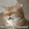 🐾🐱🐈 Gatitos :v 🐈🐱🐾 (b5fsdgvjn8)