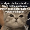 🐾🐱🐈 Gatitos :v 🐈🐱🐾 (6dqy87vh4t)