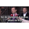 Turkish Siyaset (k8wb29md3p)