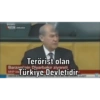 Turkish Siyaset (7wj2trync9)