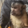 نظرة جانبية متجهمة