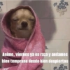 Hoy es viernes de... (f5nc3w7y26)