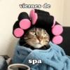 Hoy es viernes de... (xj48zmyt9g)
