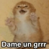 🐶🐱🐵 ANIMALITOS 2 🐵🐱🐶 (kftp9sgwnj)