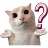 Meme Kucing Imut #4