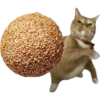 Meme Kucing Lempar 😾 (sw78fr9z3m)