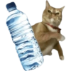 Meme Kucing Lempar 😾 (r2xp54qsyz)