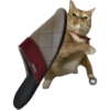 Meme Kucing Lempar 😾 (kds7w2qfzx)