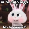 💫 Snowball rebelde ❣️ (43skt2z78x)