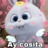 💫 Snowball rebelde ❣️ (9xh7qysn4k)