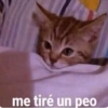 🔴 Cuando No Quieres Hablar 🔴 (ngpvmtdq7w)