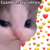 🐱🐾Mishis🐈🐈‍⬛Para Tu Crush💘😻 (jrqgvtb74k)