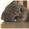 Sad triste (phgjq3yznd)