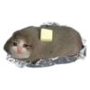 Sad triste (5bvgyhn38z)