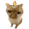 Meme Kucing Lucu 🐱 (4xmc892g5w)