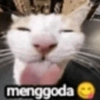 Meme kucing