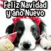 Merry Christmas and Happy New Year